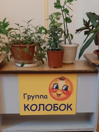 Мы пошли в сад,