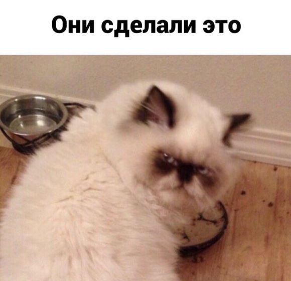 ?