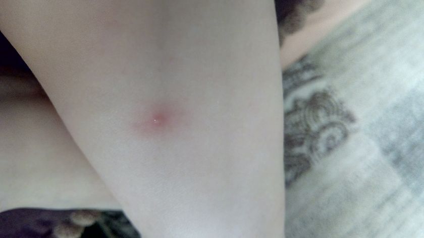 Добрый день)Ну подскажиие пожалуйста,