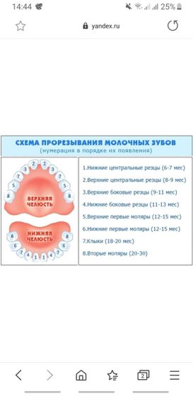 ЗУБЫ.