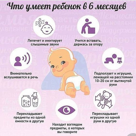 Ребёнок в 6 месяцев