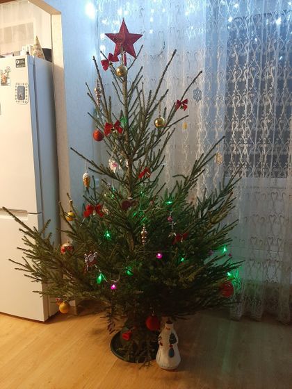 Поставили живую елку🌲