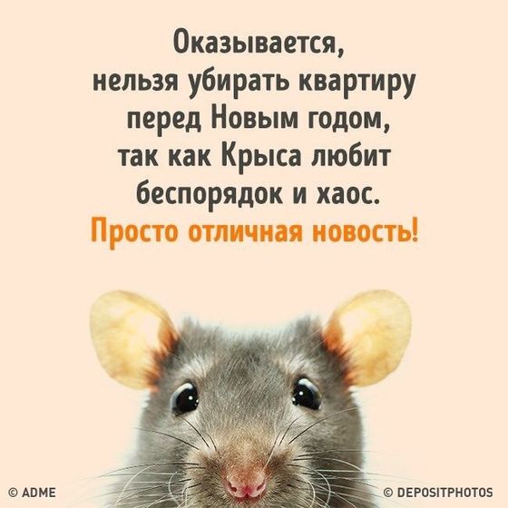 2020-год Крысы