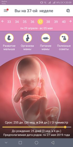 Как быстро время пролетело
