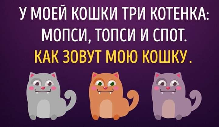 Я так имя кошки