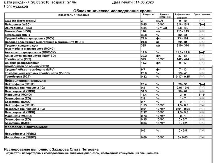 Незрелые гранулоциты ig повышены. Незрелые гранулоциты норма. Незрелые гранулоциты повышены у взрослого мужчины. Незрелые гранулоциты что это у мужчин. Абсолютное содержание незрелых гранулоцитов.