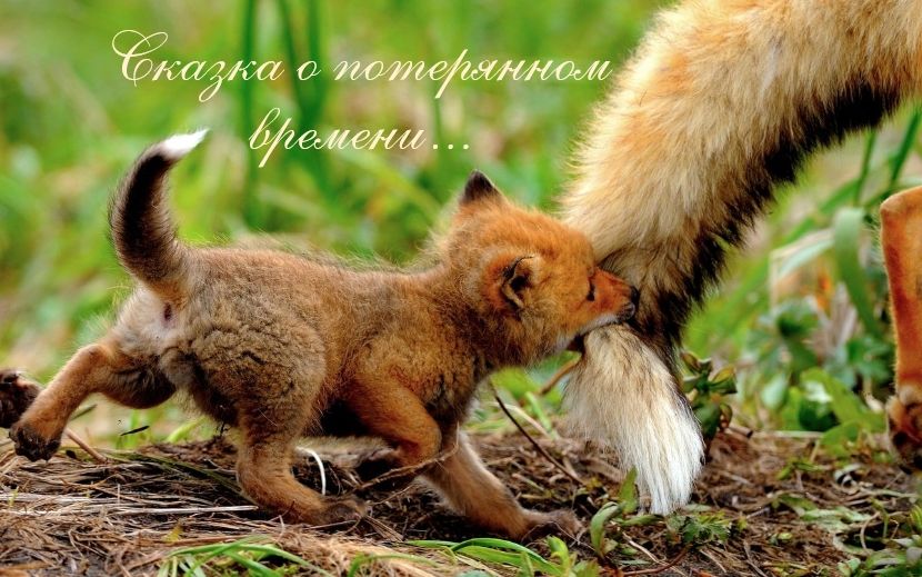 Сказка о потерянном времени...