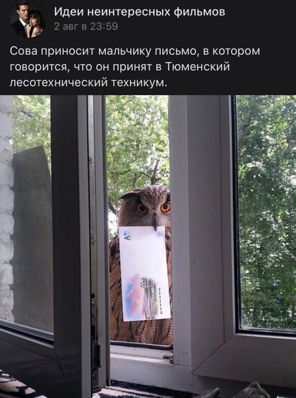 А вы ждёте сову?
