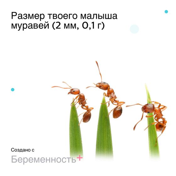 Про тесты, хгч, признаки, короче - читайте!