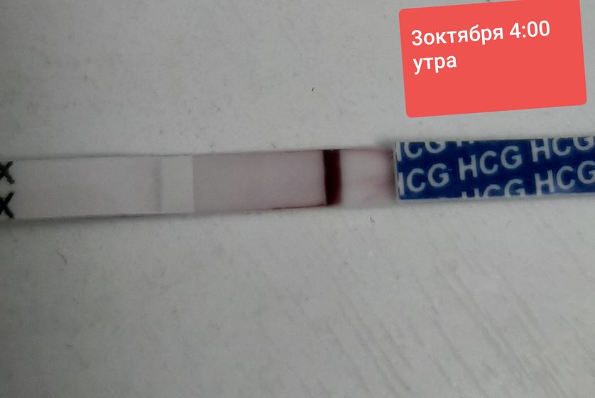 Что скажите,тесты на беременность