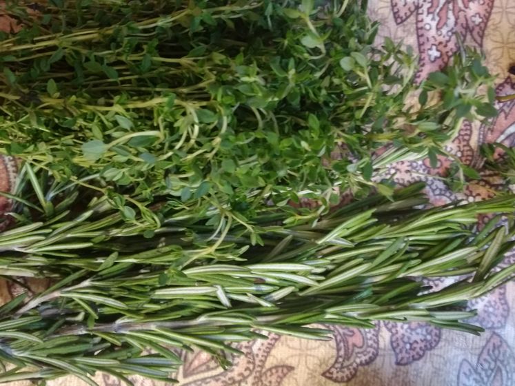 Девочки подскажите.купила