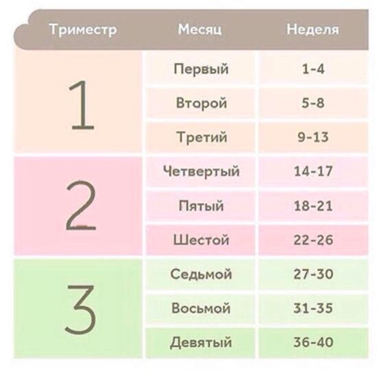 Месяца беременности по неделям