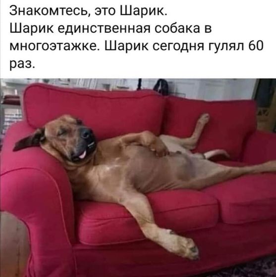 Карантиновый юмор🤪🤣