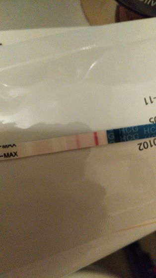Эвитест за 4 дня