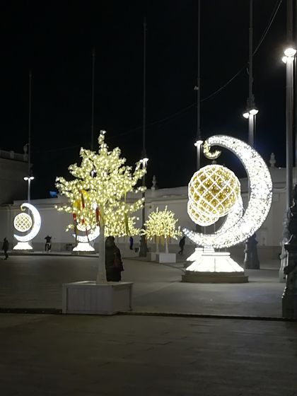Каток на ВДНХ