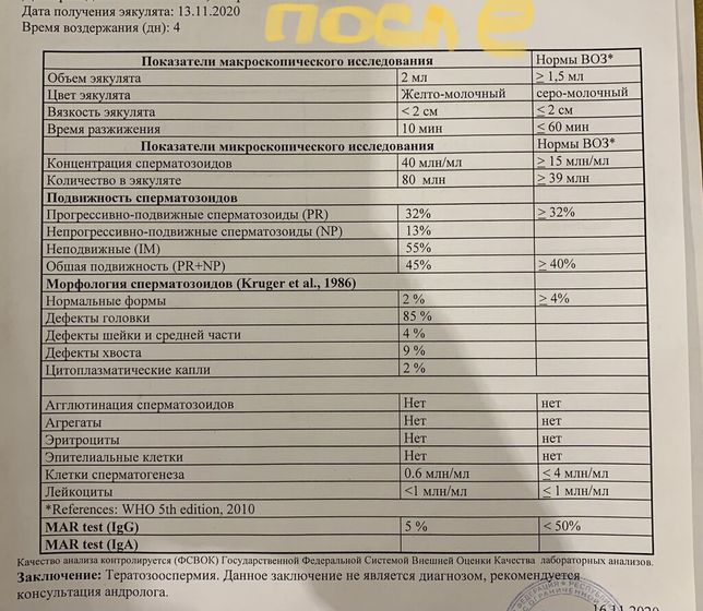 Спермограмма после операции Мармара