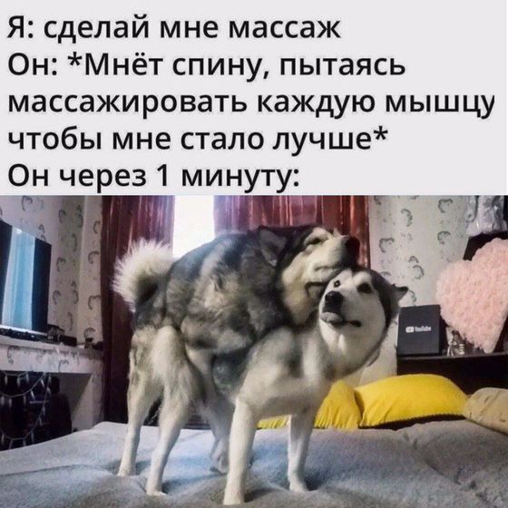 Фотография 2020-05-16 23:44:41