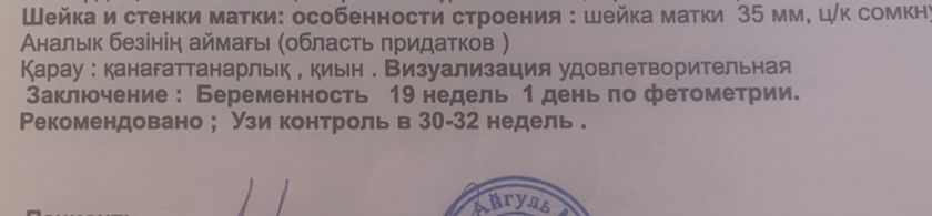 УЗИ. Ицн