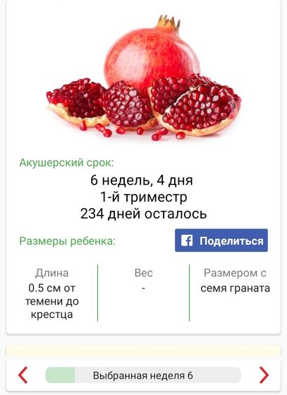 Подскажите кто знает ?
