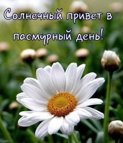 Я так переживаю за