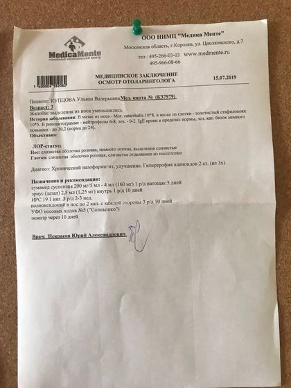 Золотистый стафилококк