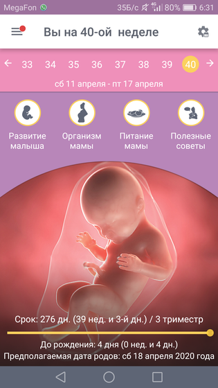 Как время нервы испытывает..