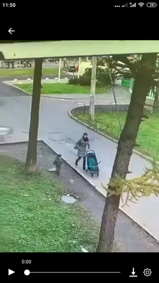Пожалуйста, не давайте ходить