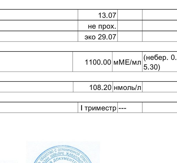12ДПП