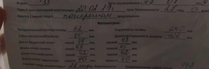 Узи в 27 недель