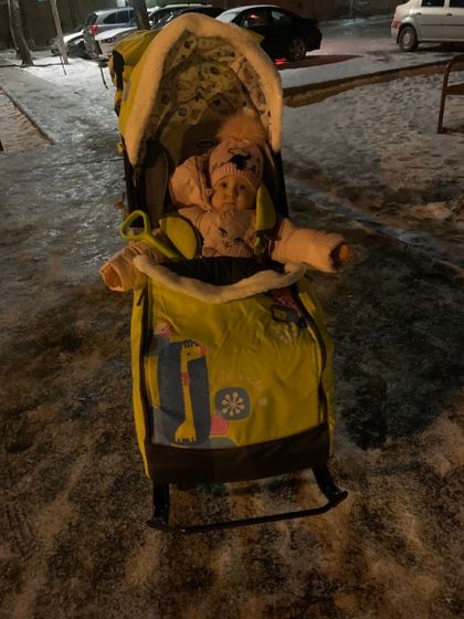 Купили мы всё-таки санки-коляску?
