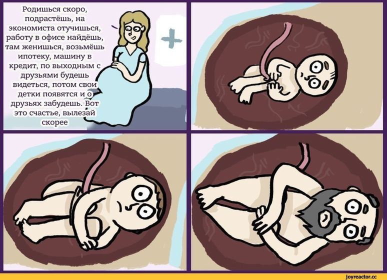Годнота подъехала?