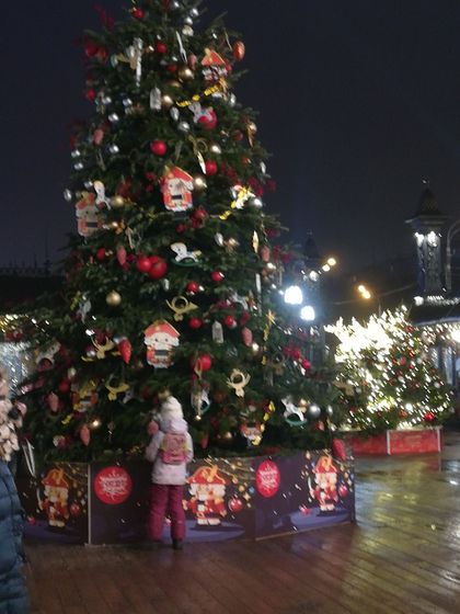 Фестиваль 