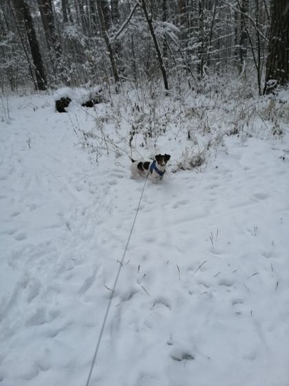 ❄️❄️❄️Люблю снежную погоду ❄️❄️❄️