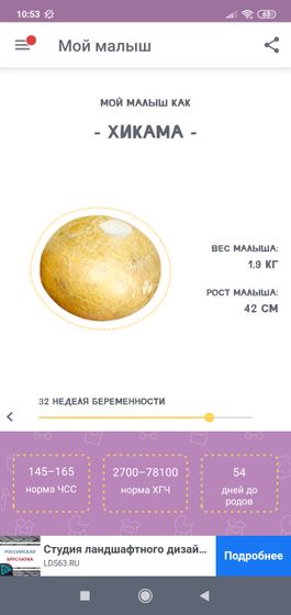 Мои 32 недели и