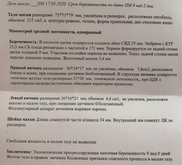 Узи в 9 недель 2 дня
