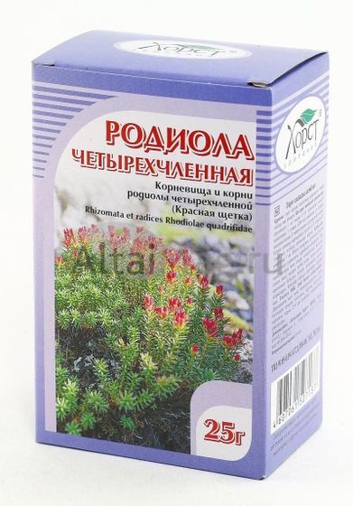 КРАСНАЯ ЩЕТКА ТРАВА