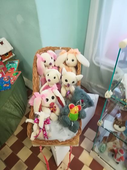 Поездка в Кострому. Ч. 6. Выставка