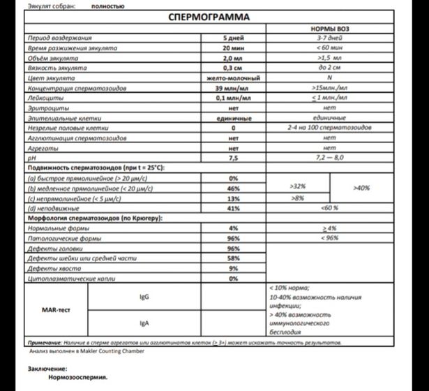Спермограмма
