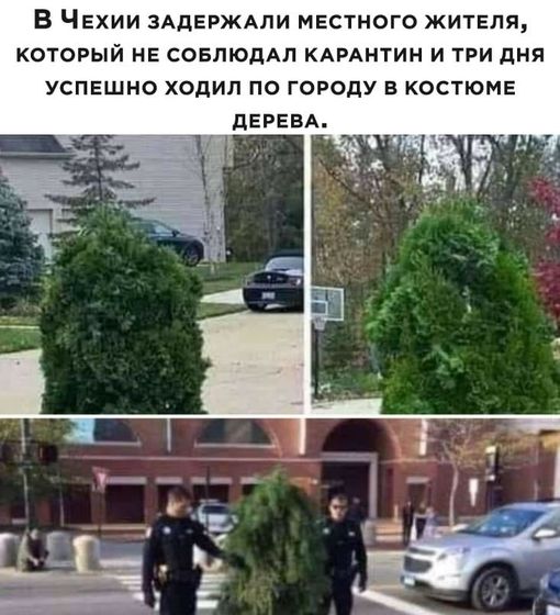 Где купить?