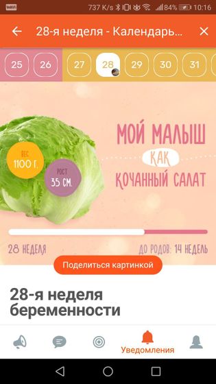 Привет 3 триместр) всегда