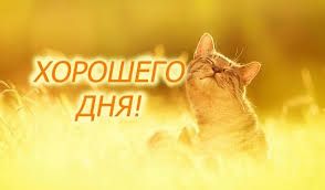 ШАГ 8/31 ВЗЛЕТА ФЛАЙЛЕДИ