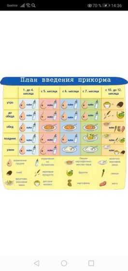 Введение прикорма... Как?