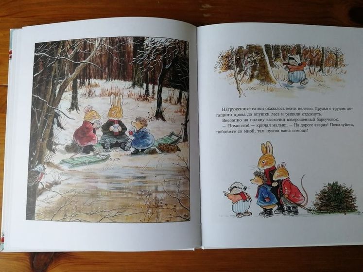 Отзыв от Белки - книга