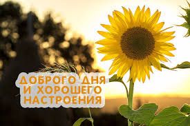 ШАГ 22/31 ВЗЛЕТА ФЛАЙЛЕДИ