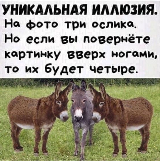 Получилось?)