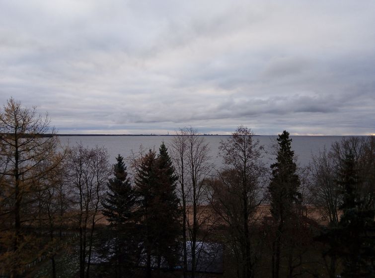 Спасибо, что не завтра...