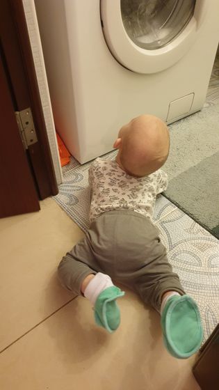 Первая шишка