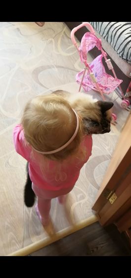 Животное для ребёнка Дочка