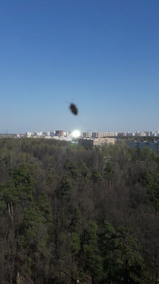 Клещь