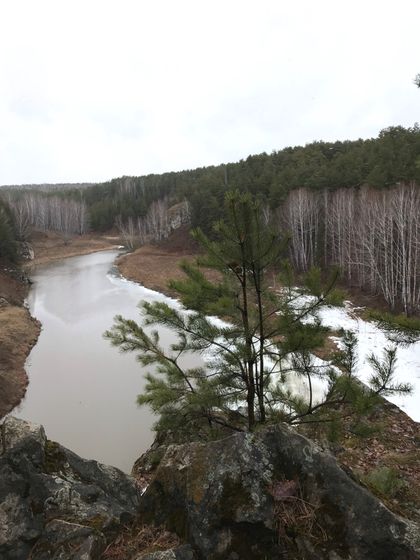 Прогулка в нашем лесу.